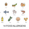 Navigating Food Allergies And Intolerances
