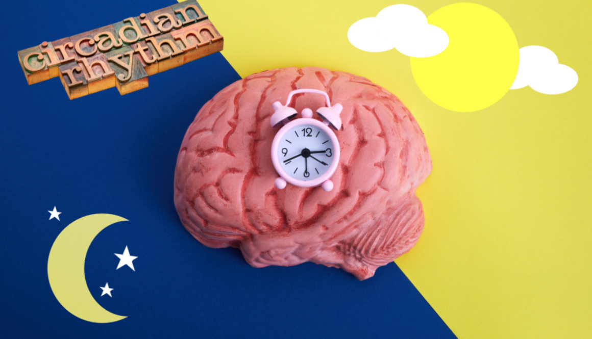 circadian rhythms and nutrition