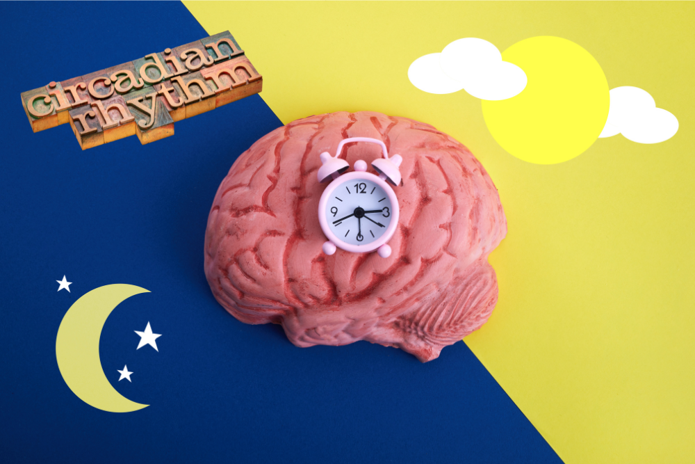 circadian rhythms and nutrition