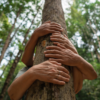 Connecting With Nature For Our Health And Happiness