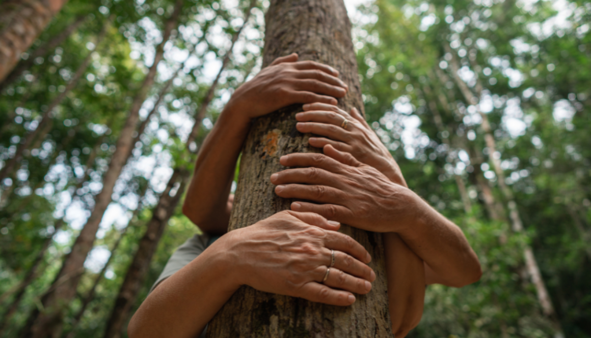 connecting with nature for health