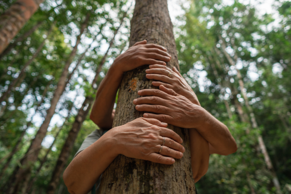 connecting with nature for health