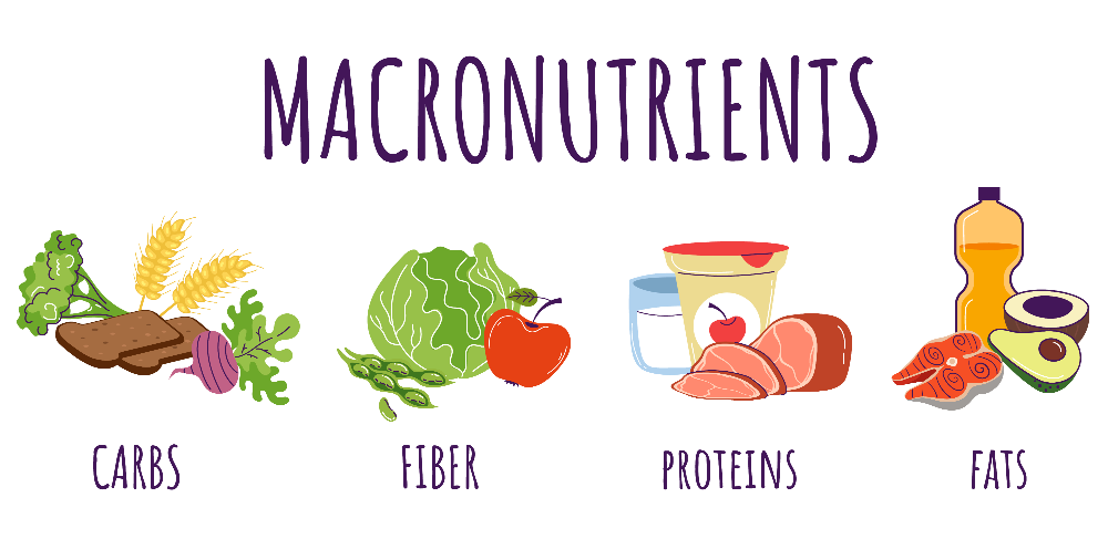 macronutrients