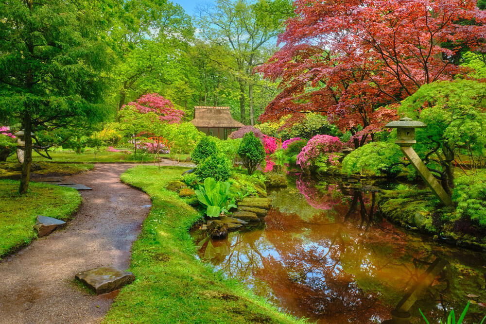 japanese garden 