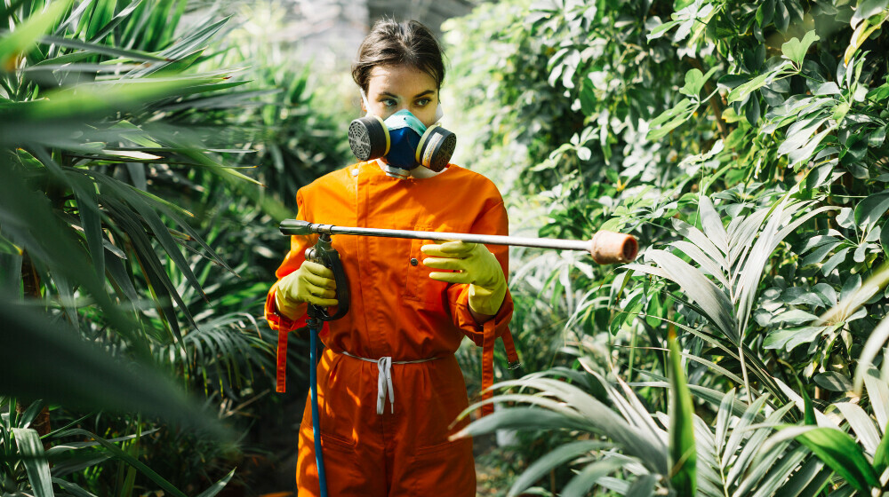 the risk of pesticides